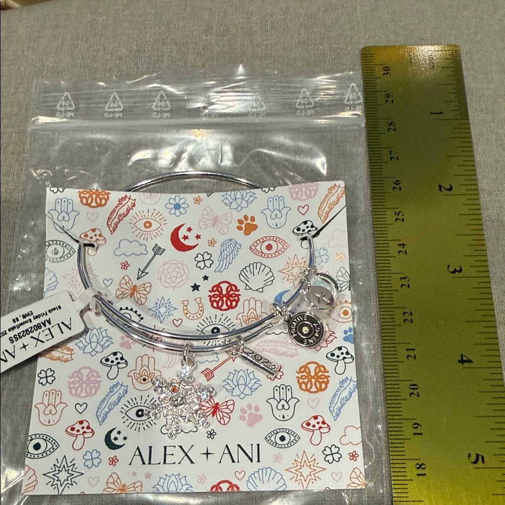 Alex and Ani Silver and Clear Charm Bracelet